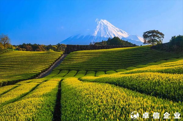 如何寫日本注冊公司的經營范圍？