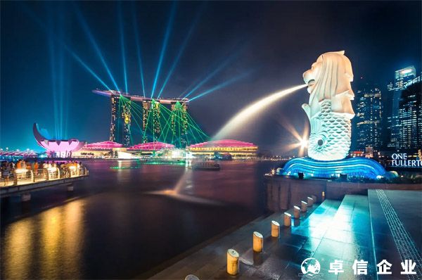 新加坡公司一年一度的股東大會是什么？