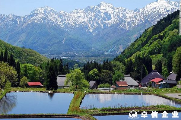 日本消費稅（JCT）確立實行，不合規賣家將會面臨罰款