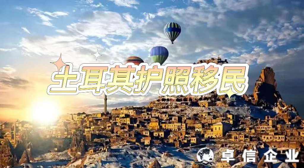 土耳其護照移民